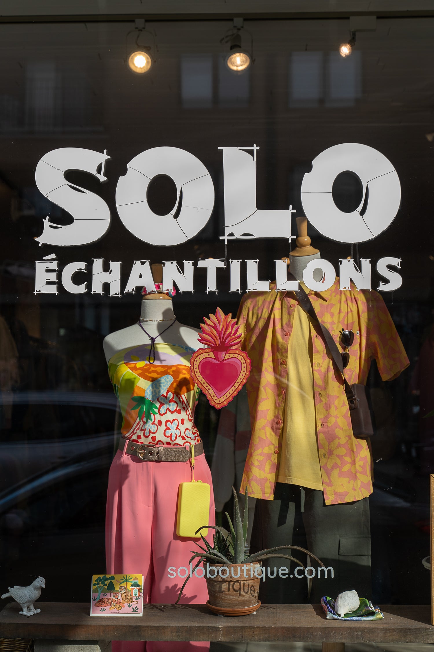 Vitrine ensoleillée Solo Echantillons